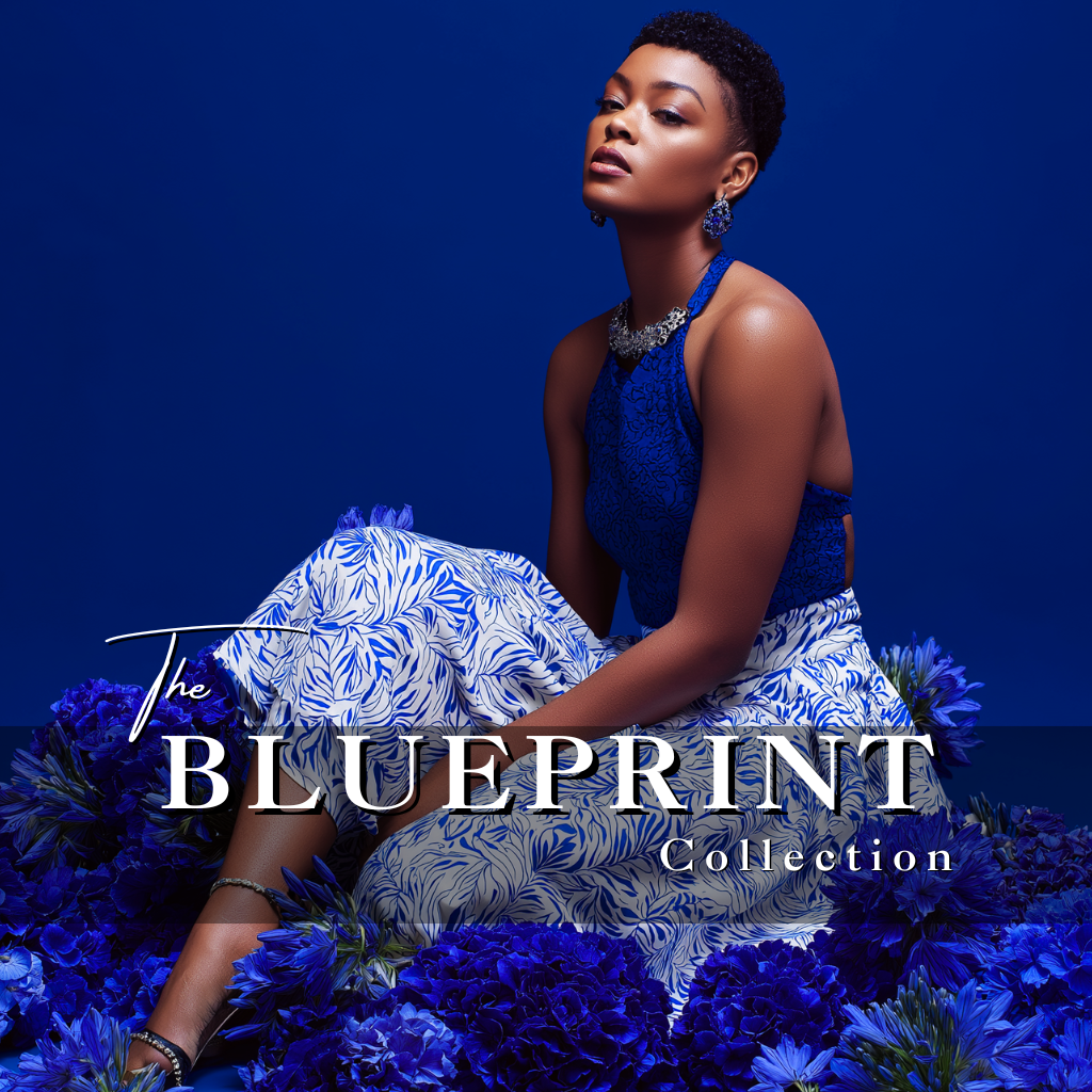 THE BLUEPRINT