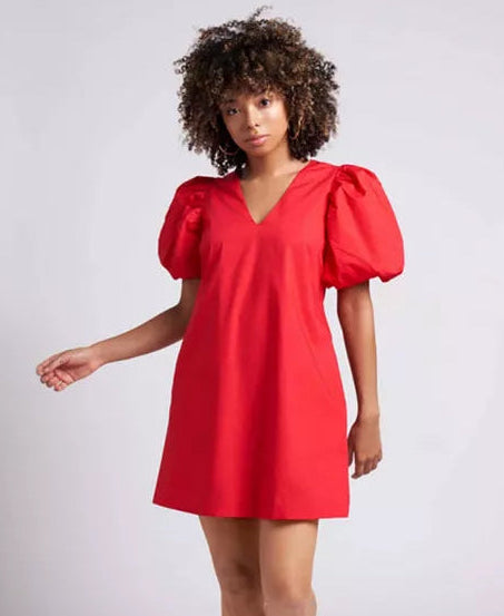 Rylie Balloon Sleeve Mini Dress
